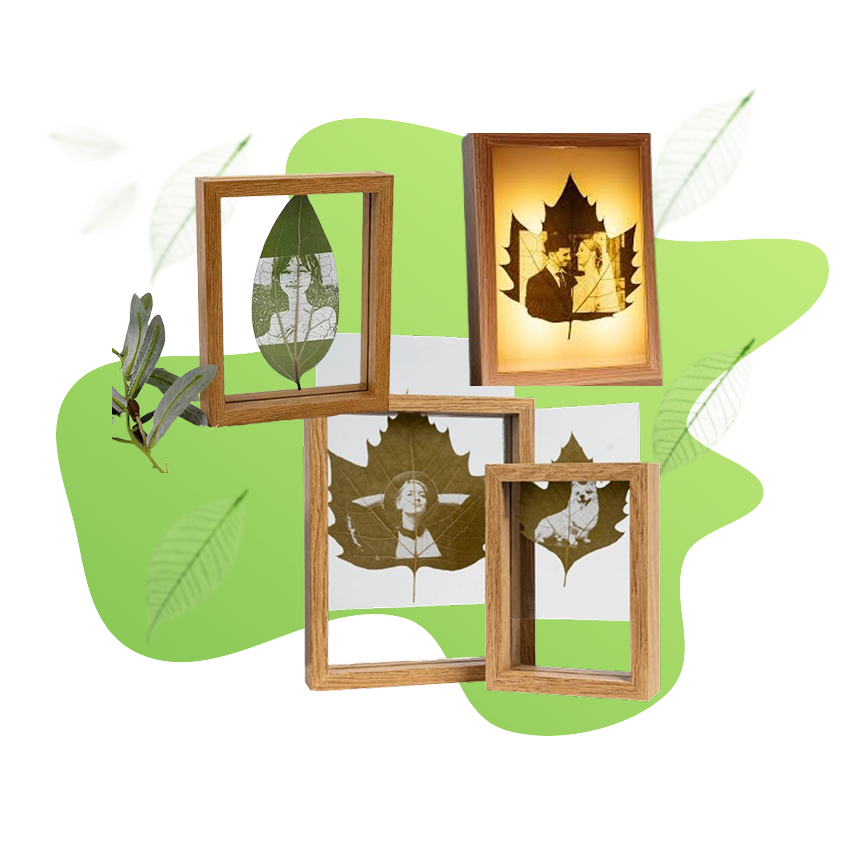 Frame Showcase